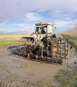 Un labrador de los arrozales de l'Albufera posa sobre un tractor, durante el fangueo